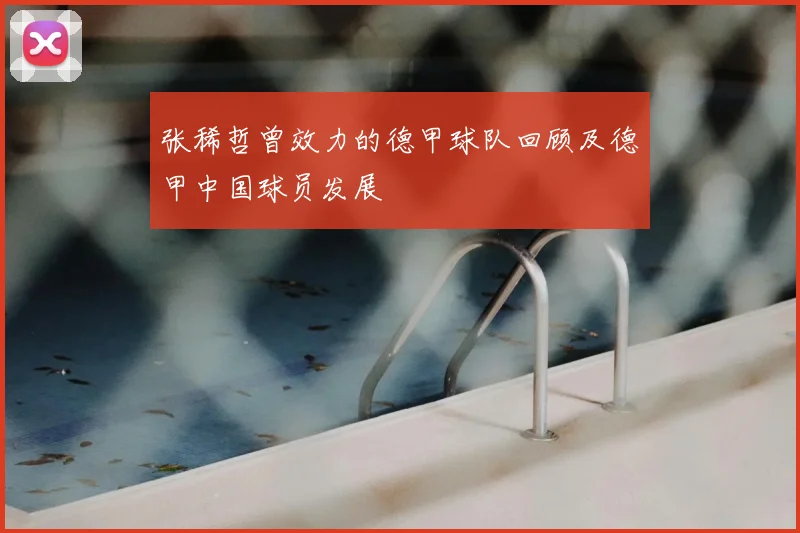 张稀哲曾效力的德甲球队回顾及德甲中国球员发展