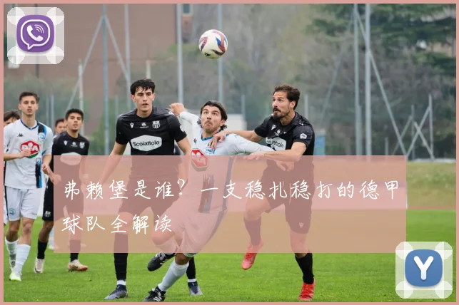 弗赖堡是谁？一支稳扎稳打的德甲球队全解读