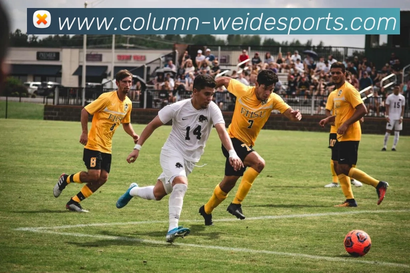 伟德体育APP 高清赛事图